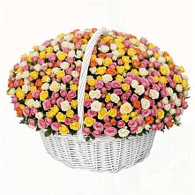 Премиум букет из: Розы в Пластуновской