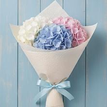 Букет цветов из:  Гортензия в Пластуновской